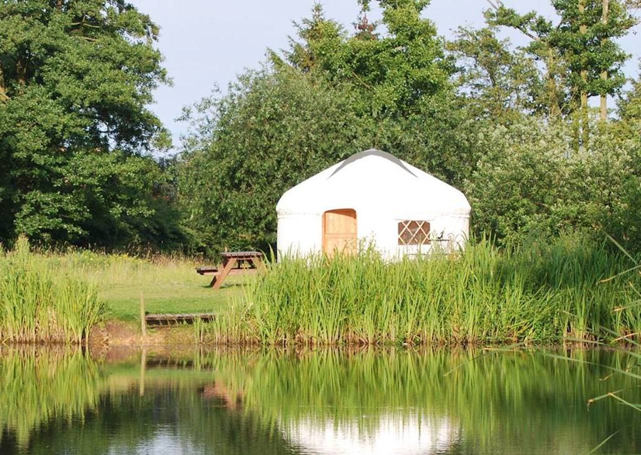 Acorn Glade in Yorkshire where Daisy and Poppy Yurt found a new home.