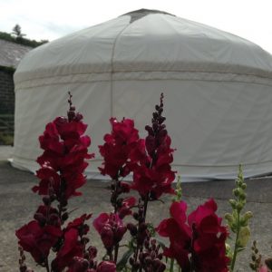 16ft yurt