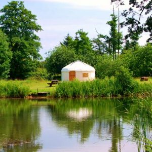 Fron Farm Yurt at Acorn Glade