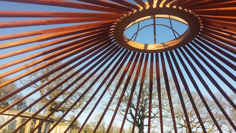 Yurt roof at Fron Farm Yurts Wales